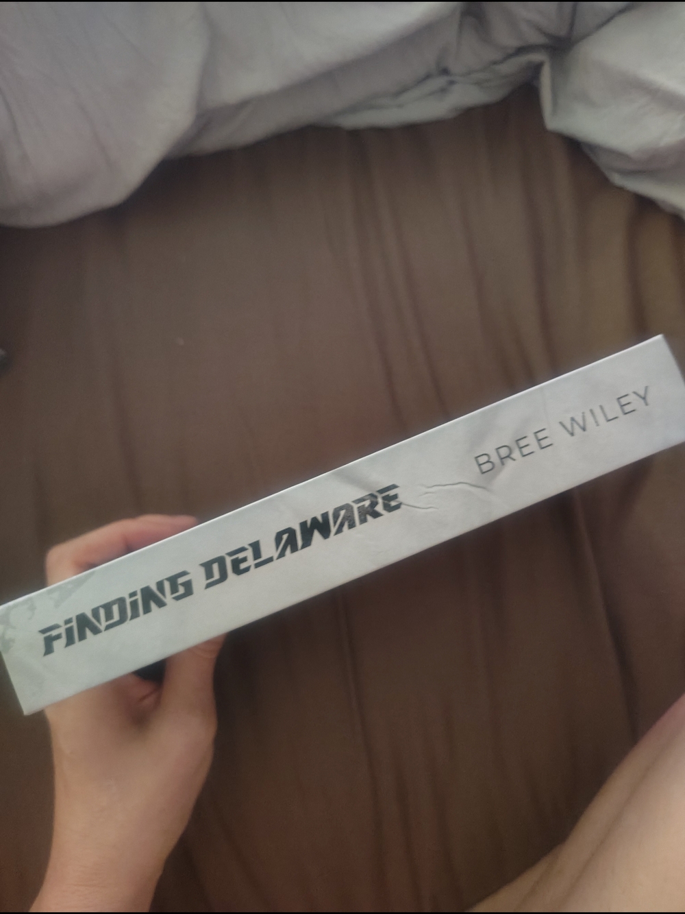 Finding Delaware By Bree Wiley - Picture 4 of 6